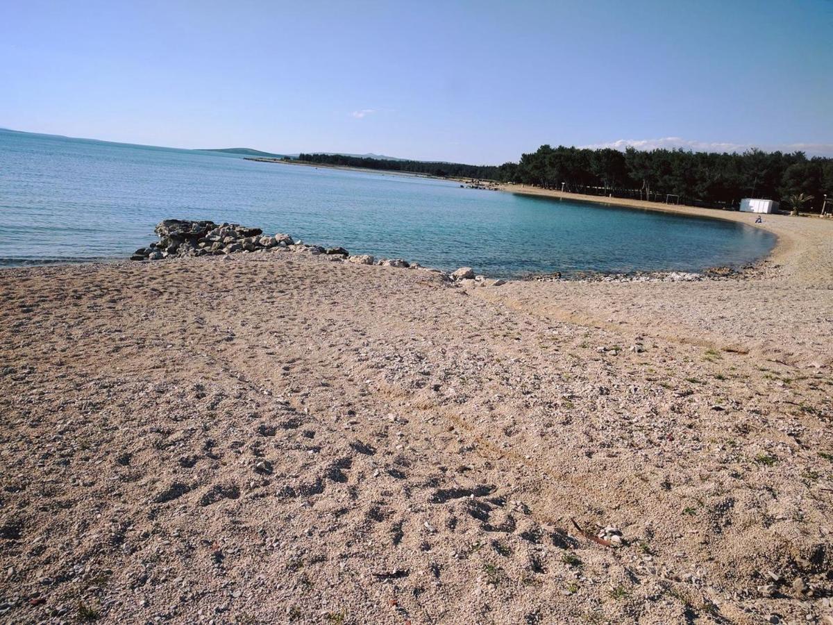 Orlic * Povljana